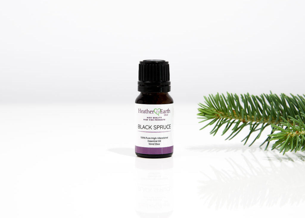 Black Spruce Essential Oil
