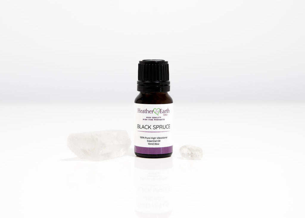 Black Spruce Essential Oil