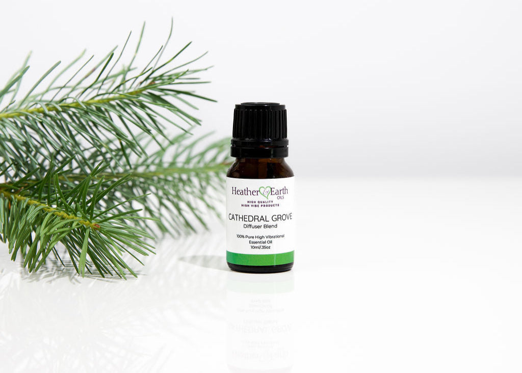 Cathedral Grove Diffuser Blend - Coming Soon!