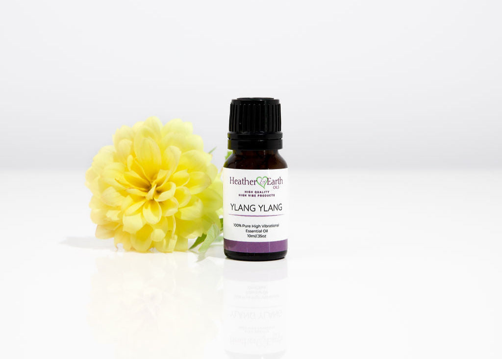 Ylang Ylang Essential Oil