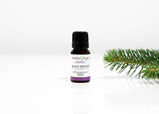 Black Spruce Essential Oil