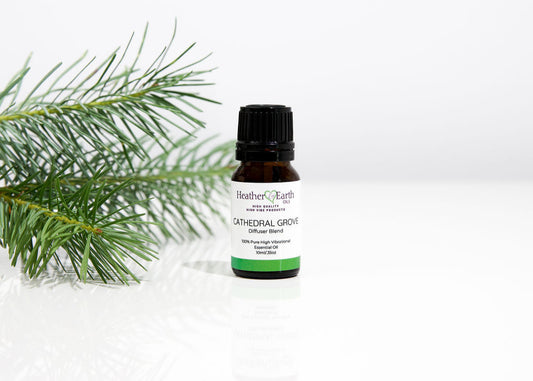 Cathedral Grove Diffuser Blend - Coming Soon!