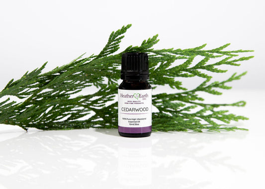 Cedarwood Essential Oil