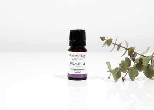 Eucalyptus Essential Oil