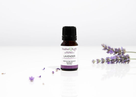Lavender Essential Oil