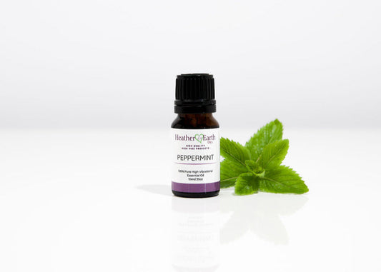 Peppermint Essential Oil